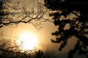 Ambiance Hivernale